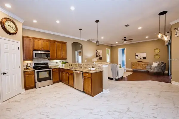 10513 PALM COVE AVE, Tampa, FL 33647