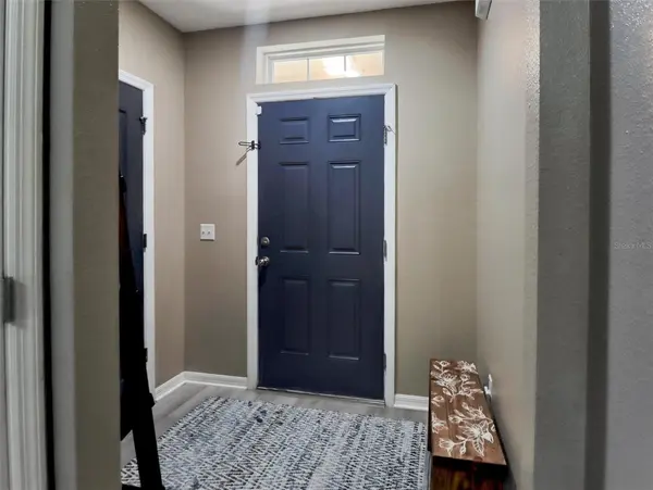 10408 WHISPERING HAMMOCK DR, Riverview, FL 33578