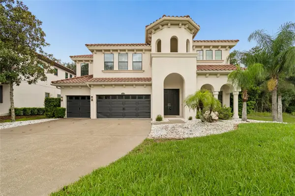 2719 CALVANO DR, Land O Lakes, FL 34639