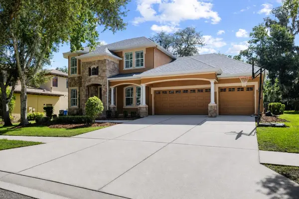 15910 TERNGLADE DR, Lithia, FL 33547