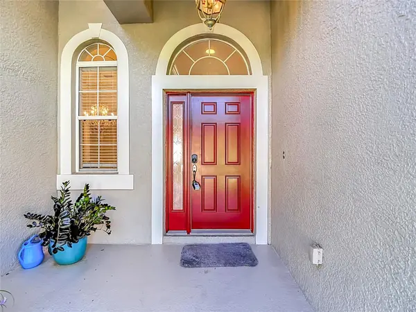 16215 IVY LAKE DR, Odessa, FL 33556