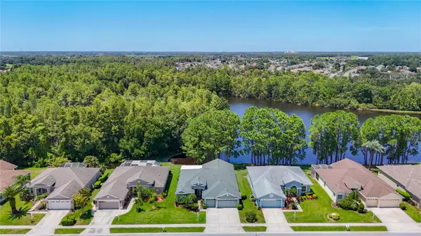 1535 MORNING ROSE PL, Trinity, FL 34655