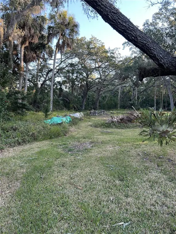 14428 GUAVA ST, Hudson, FL 34667