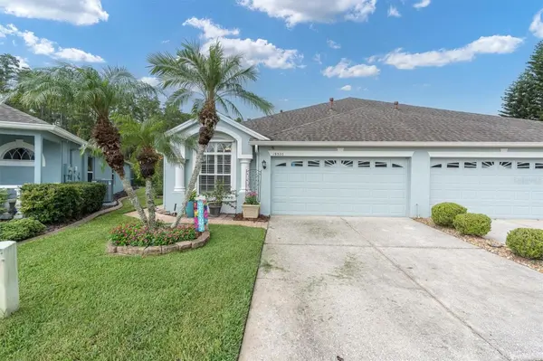 19320 HASKELL PL, Land O Lakes, FL 34638