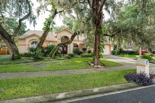1336 WATERWOOD DR, Lutz, FL 33559