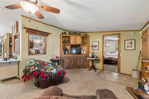 4404 PLATT RD, Plant City, FL 33565