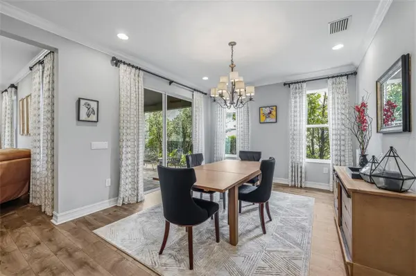 31321 DRISCOLL DR, Wesley Chapel, FL 33543