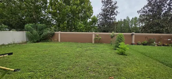 3233 DOWNAN POINT DR, Land O Lakes, FL 34638