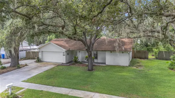 3412 LITTLE OAK ST, Valrico, FL 33596