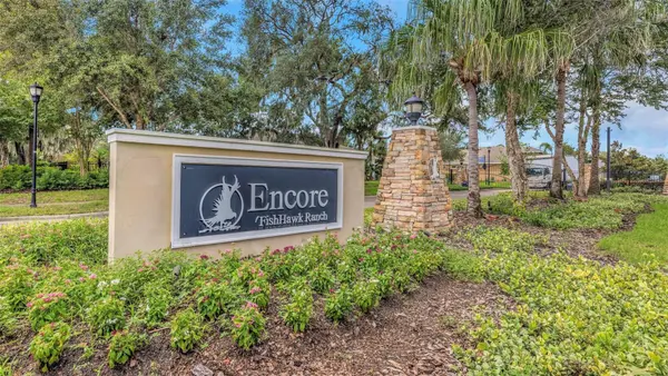 13931 NATURES RESERVE DR, Lithia, FL 33547