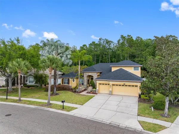 16750 IVY LAKE DR, Odessa, FL 33556