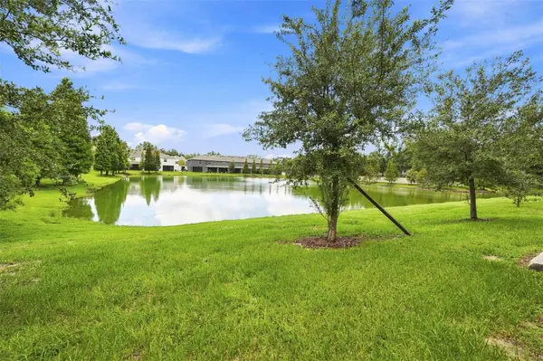 3144 PLEASANT WILLOW CT, Brandon, FL 33511