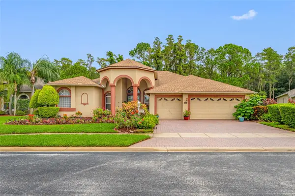 11421 STRATHAVEN CT, Trinity, FL 34655