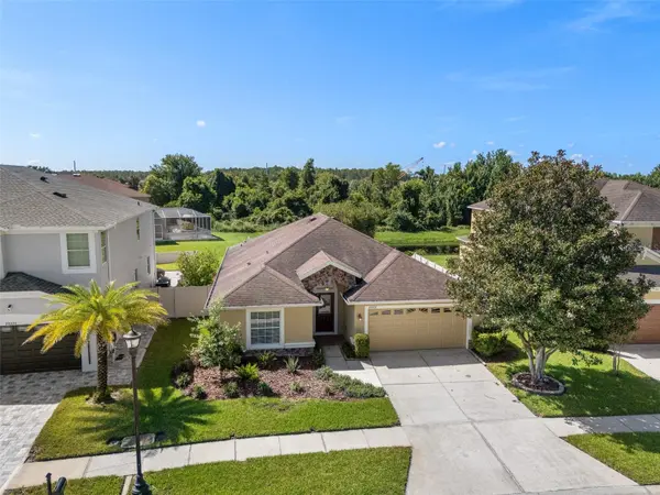 19002 NARIMORE DR, Land O Lakes, FL 34638
