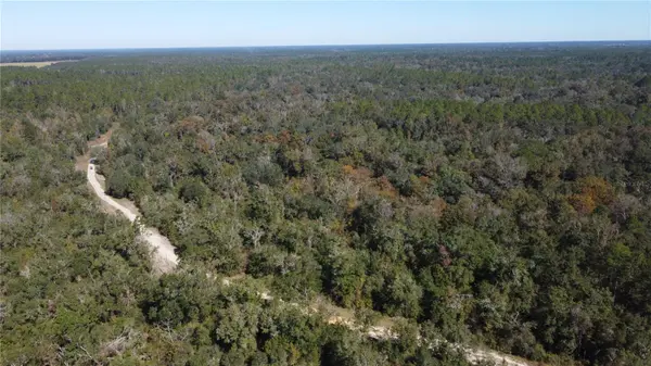NE CHERVIL DR, Lee, FL 32059