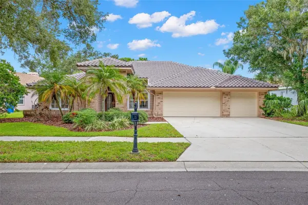 1730 CAPTIVA DR, Oldsmar, FL 34677