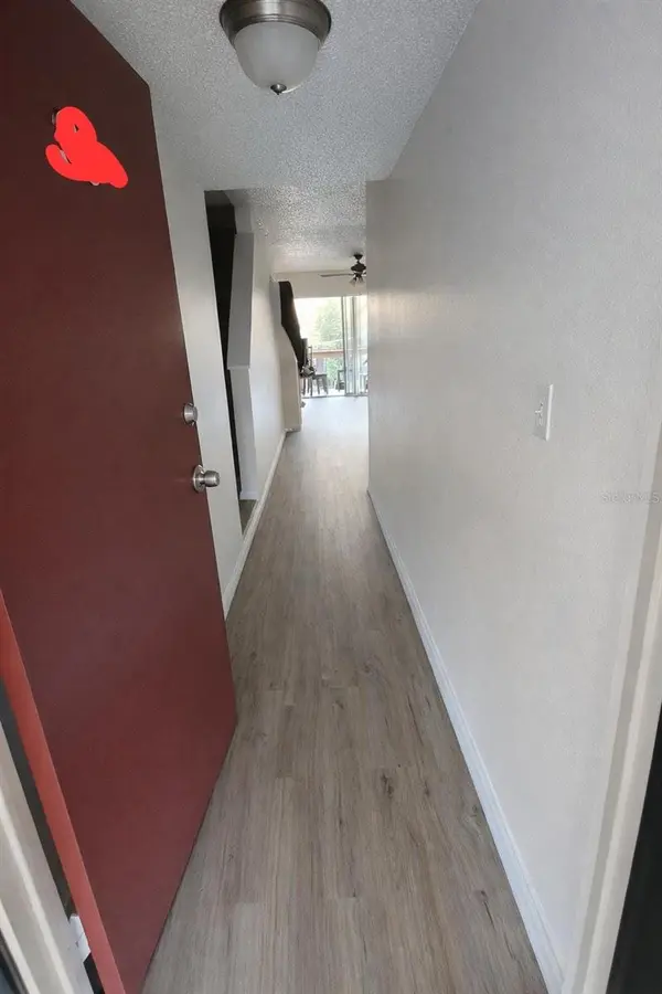 7516 NEEDLE LEAF PL #43, Tampa, FL 33617