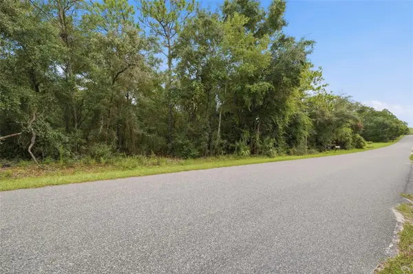 1295 E RAY ST, Hernando, FL 34442