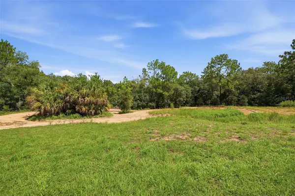 1345 E RAY ST, Hernando, FL 34442
