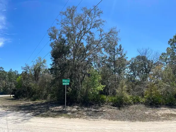 0 NORTHWEST AVE #Lot #32, Webster, FL 33597