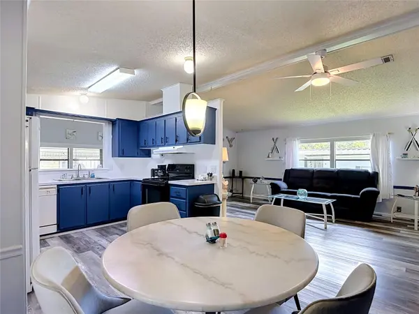 4616 OLIVE DR, Zephyrhills, FL 33542