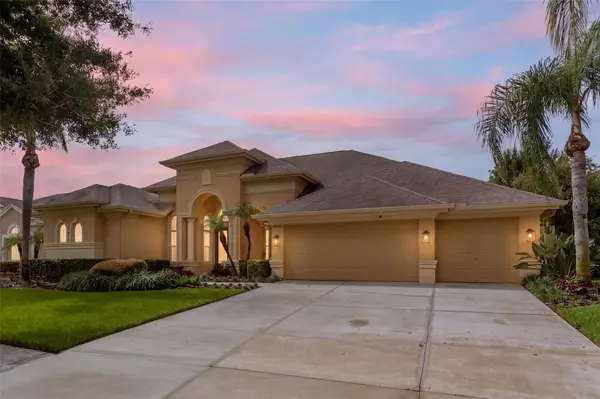 23302 GRACEWOOD CIR, Land O Lakes, FL 34639