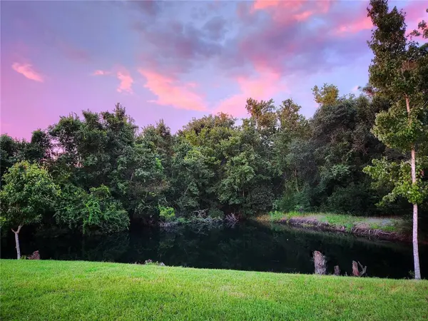 4230 MEDBURY DR, Wesley Chapel, FL 33543