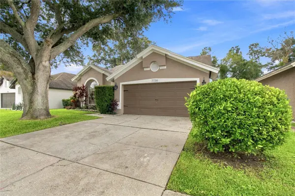 7736 MARBELLA CREEK AVE, Tampa, FL 33615