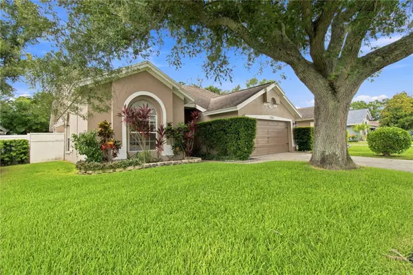 7736 MARBELLA CREEK AVE, Tampa, FL 33615