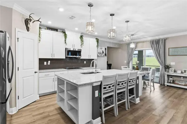 10007 DOLPHIN GULL CIR, Thonotosassa, FL 33592
