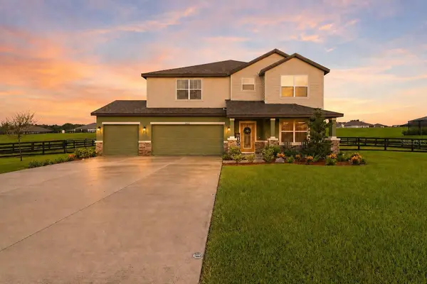 10007 DOLPHIN GULL CIR, Thonotosassa, FL 33592