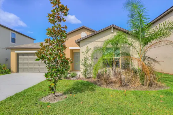 8694 PARSONS HILL BLVD, Wesley Chapel, FL 33545