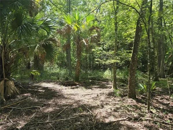7521 S CLAY TER, Floral City, FL 34436