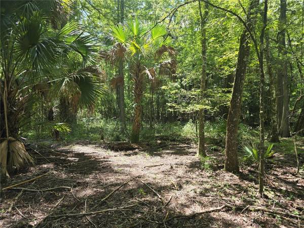 7521 S CLAY TER, Floral City, FL 34436