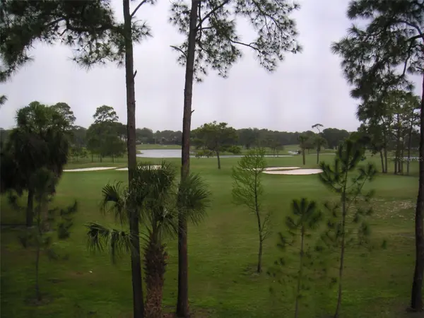 2400 FEATHER SOUND DR #328, Clearwater, FL 33762