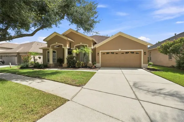 19803 GLAZING GLOBE LN, Lutz, FL 33558