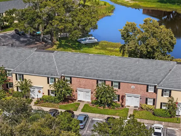 13747 JUNIPER BLOSSOM DR, Tampa, FL 33618