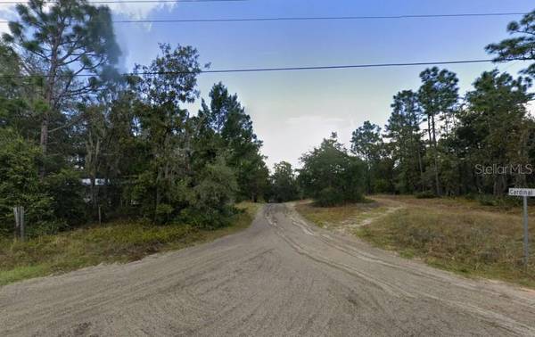 CENTERWOOD RD, Florahome, FL 32140