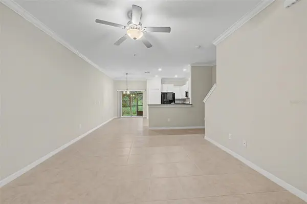 1599 CASSIUS ST, Lutz, FL 33549