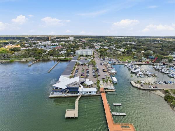 1372 CARLISLE CT, Dunedin, FL, 34698 photo 82