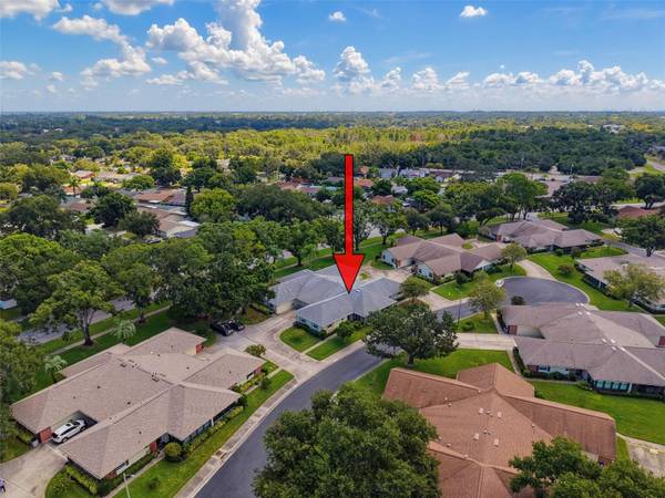 1372 CARLISLE CT, Dunedin, FL, 34698 photo 75