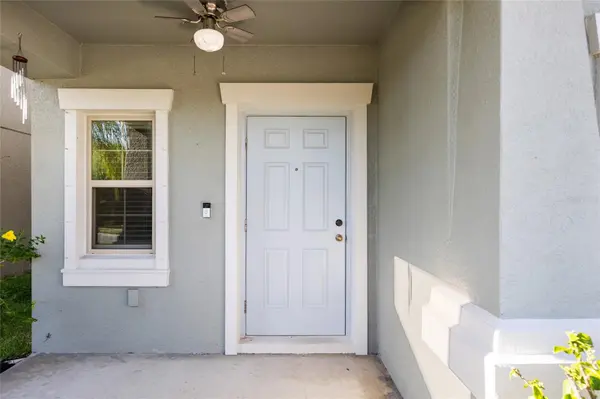 7310 PEARLY EVERLASTING AVE, Tampa, FL 33619