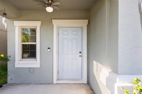 7310 PEARLY EVERLASTING AVE, Tampa, FL 33619