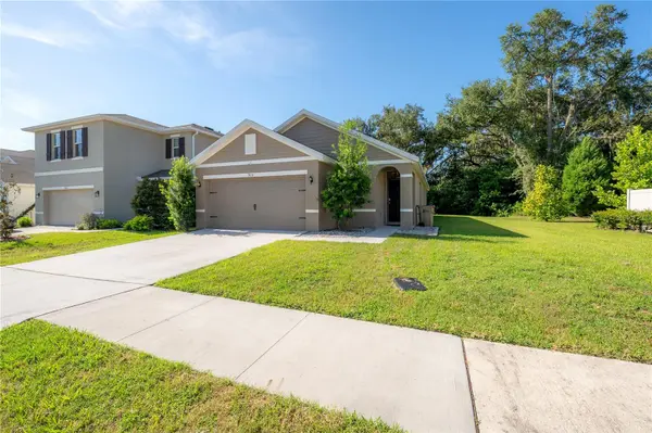 9031 WATER CHESTNUT DR, Temple Terrace, FL 33637