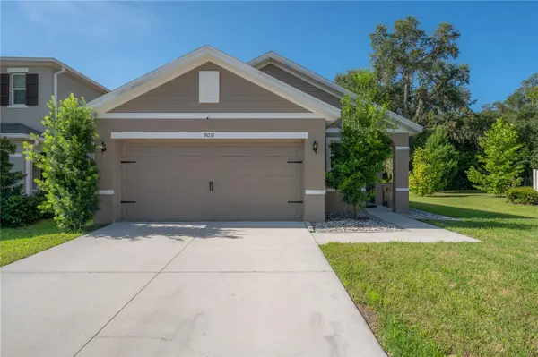 9031 WATER CHESTNUT DR, Temple Terrace, FL 33637