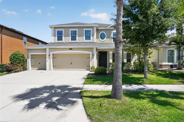 11014 SPRING POINT CIRCLE, Riverview, FL 33579
