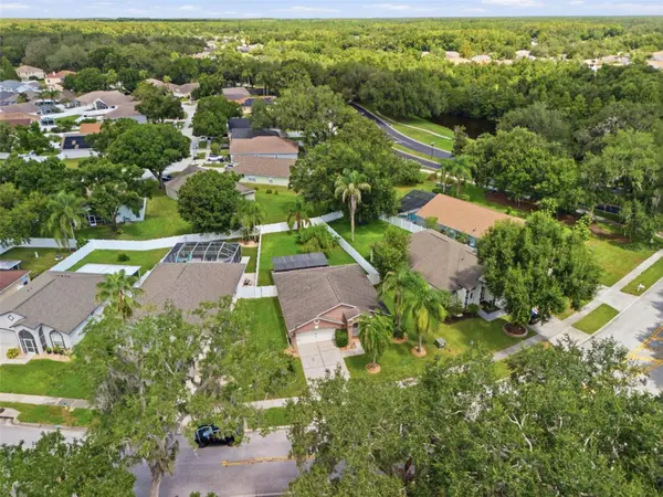 3339 CASTLE ROCK CIR, Land O Lakes, FL 34639