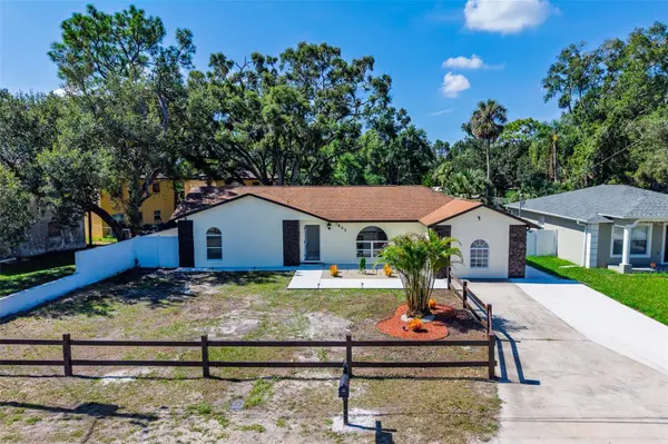 3823 E NORFOLK ST, Tampa, FL 33604