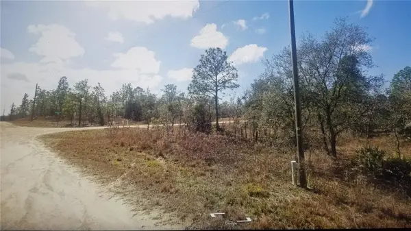 TINAMOU AVE, Weeki Wachee, FL 34614