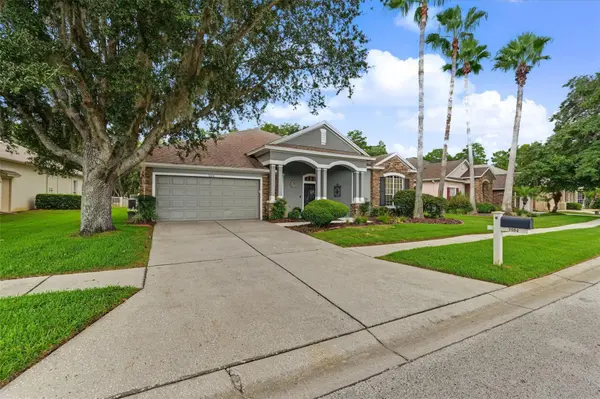 7504 WHISPERING WIND DR, Land O Lakes, FL 34637